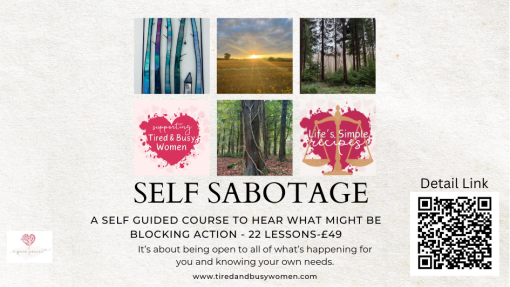 Self Sabotage Self Guided Course