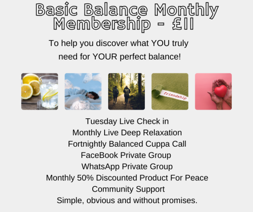 Basic Balance Monthly Online Subscription