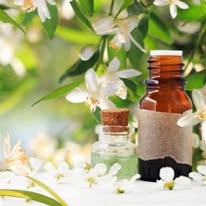 Pure Peace Discounts Product - WhatsApp Code (email to join group)