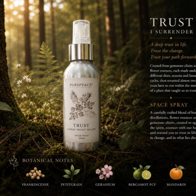 Trust -Space Spray - New!