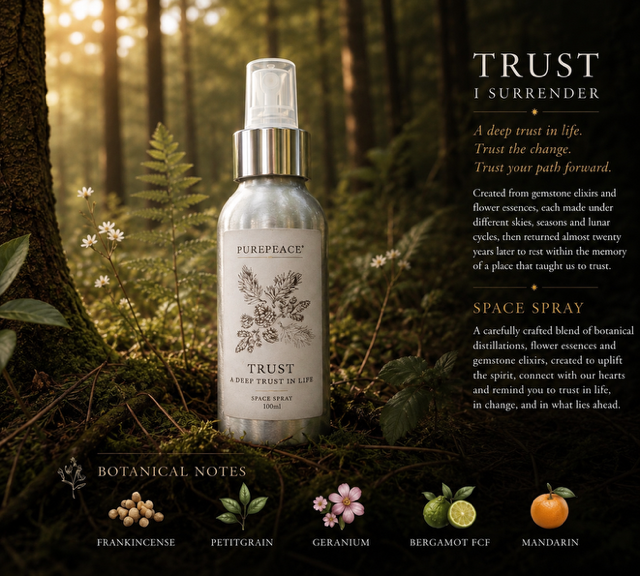 Trust -Space Spray - New!