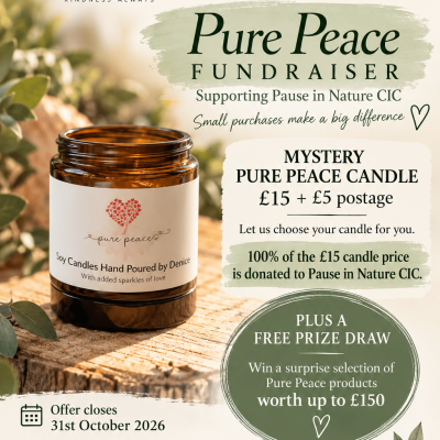 Mystery Candle & Bonus Opportunity